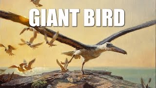 GIANT BIRD Painting an Extinct Flier with a 21Foot Wingspan [upl. by Artinak]