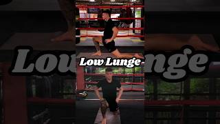 Relax amp Lengthen Legs Before Bed Gentle Low Lunge Stretch stretch yogashorts quadstretches [upl. by Shanon]