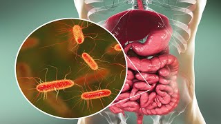 Microorganisms and Humans Commensal and Pathogenic Flora [upl. by Eciram]