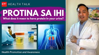 Protina sa ihi What does it mean to have protein in your urine [upl. by Per620]