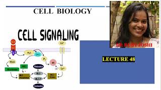 Cell Signaling Lecture48 Cell Biology Mode of Signaling NFkB pathway Wnt Signaling [upl. by Tiphanie]