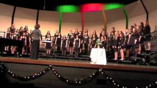 Mosinee High School Choir Concert  Winter 2014 [upl. by Naawaj]