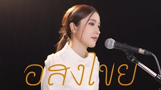 อสงไขย  หญิง ธิติกานต์  Acoustic Cover By Anny x Oat [upl. by Faunie]