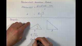 Flächeninhalt berechnen Dreieck  Formel Erklärung und Beispiele [upl. by Smeaj]