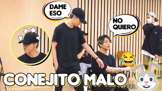 jungkook es un CONEJITO TRAVIESO🐰 aveces olvida que es el menor de BTS [upl. by Llehsem]