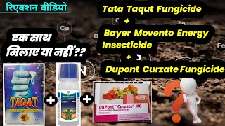 Tata Taqut Fungicide  Bayer Movento Energy insecticide  Dupont Curzate Experiment Video [upl. by Htebzil]