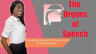 The Organs Of Speech And Their Functions Lesson 1 Everything You Need To Know  Speech Production [upl. by Oiramel]