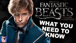 What You Need To Know Before Seeing Fantastic Beasts And Where To Find Them [upl. by Etac]