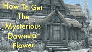 Skyrim  How To Get The Mysterious Dawnstar Flower [upl. by Egwin520]