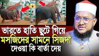 ভারতে বেঁধে রাখা হাতি ছুটে গিয়ে মসজিদের সামনে সিজদা দেওয়া কি বার্তা দেয়  Sadikur Rahman Azhari [upl. by Akenaj542]