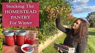 Seasonal Living Late Autumn  Winter  Filling The Homesteader Pantry With Food [upl. by Kaslik]