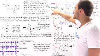 Mechanism of Transpeptidase and Inhibition with Penicillin [upl. by Aimas]