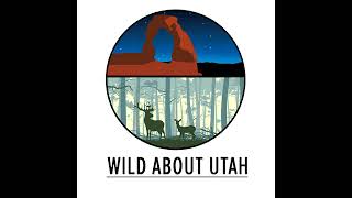 Wild About Utah The earth keeps turning [upl. by Karylin131]