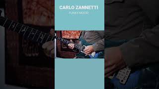 Carlo Zannetti plays Funky Mood with Electric Guitar [upl. by Scutt559]