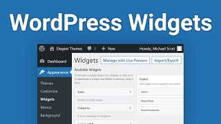 WordPress Widgets The Complete Guide [upl. by Aspa200]