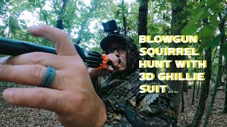 Blow Gun Squirrel Hunt in 3D ghillie suit [upl. by Liarret]