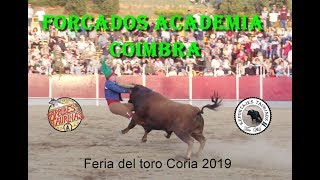 FORCADOS ACADEMICOS DE COIMBRA FERIAL DEL TORO CORIA 2019 [upl. by Amuwkuhc]