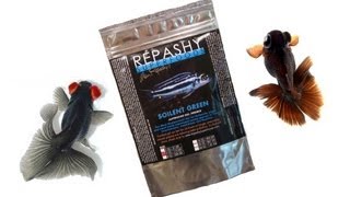 ☆ Repashy Soilent Green Gel Food for Goldfish [upl. by Octavus512]