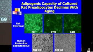 SENS5  Aging Adipose Tissue and Cellular Senescence [upl. by Calvano]