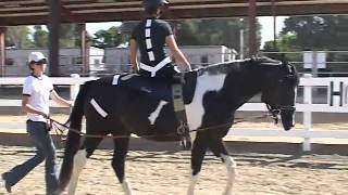 Hippotherapy Ride Along Visualizing How Equine Movement Benefits Clients [upl. by Aitnic]