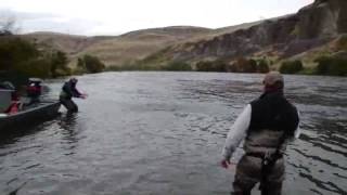 Deschutes River Steelhead Mouth 2009 [upl. by Iliam]