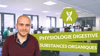 Physiologie digestive suc gastrique substances organiques  Physiologie  digiSchool [upl. by Admama207]