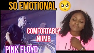 GenZ react to Pink Floyd  Comfortably numb pulse [upl. by Eldred]