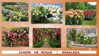 Rosaleda  Jardines de rosas [upl. by Gaelan]