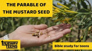 THE PARABLE OF THE MUSTARD SEED  TEEN BIBLE STUDY [upl. by Ameh695]