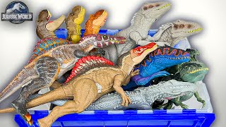 NEW Trex Irex Spino Giga Dino Figure Collection  Jurassic World Dominion Dinosaur Collectables [upl. by Mimi]