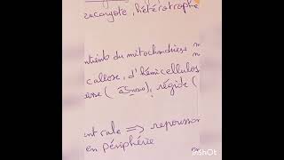 microbiologie L2 partie 07 cest quoi la mycologie  🦯🧫 [upl. by Ahsikad648]