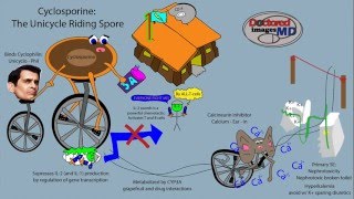 Cyclosporine [upl. by Macintosh]