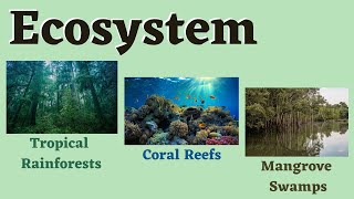 Ecosystem Tropical Rainforests Coral Reefs and Mangrove Swamps Science 6 [upl. by Mauldon109]