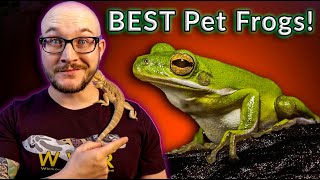 Top 5 BEST Pet Frogs  100K Subscriber Silver Play Button Reveal [upl. by Vernen51]