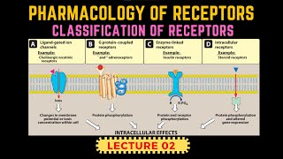 Types of Receptors  Receptors Pharmacology Part 2  GProtein Receptor By Muneeb [upl. by Ymme]