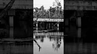 Econfina River Youngstown FL [upl. by Yenatirb181]