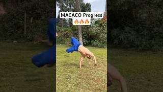 Amazing Macaco Progress over a few months [upl. by Formica]