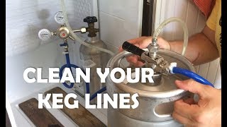 How to clean your kegerator beer lines  DO IT [upl. by Im219]