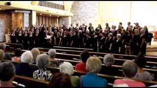 Donna Rhodenizer  One Small Voice  Fredericton Ladies Choir [upl. by Annayk864]