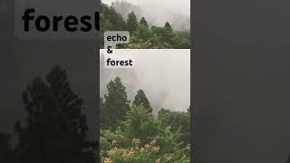 Echo amp Forest by Fureasteen  Dark Ambient Music for relaxation催眠音楽 寝落ちアンビエント [upl. by Alyahs]