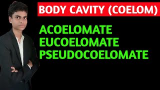 What is body cavity  coelom  Acoelomate pseudocoelomate eucoelomate  All concepts explained [upl. by Chatterjee]