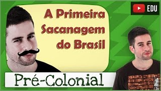 Período PréColonial ou A Primeira Sacanagem do Brasil [upl. by Neeruam]