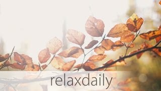 relaxdaily  N°013 official video  Season 1 Album Version [upl. by Auhsoj]