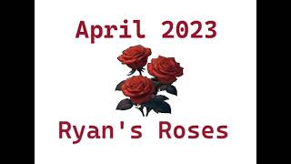 Ryans Roses Monica April 13 2023 [upl. by Annairba535]