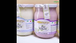 Experience the Creamy Goodness of Organic Natural Yogurt at Lets Organic [upl. by Morita]