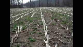 DF 7 Allegheny Passage Arrowheads [upl. by Nnyliak]