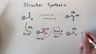 Strecker Synthesis Amino Acid Synthesis [upl. by Lamahj]