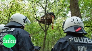 Bäume oder Braunkohle Der Kampf um den Hambacher Forst  WDR Doku [upl. by Tikna]