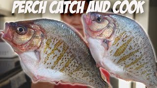 SURF PERCH FISHING catch and cook [upl. by Moht798]