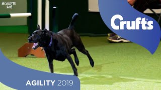 We Got a Runner Rescue Dog Agility  Crufts 2019 [upl. by Feirahs]